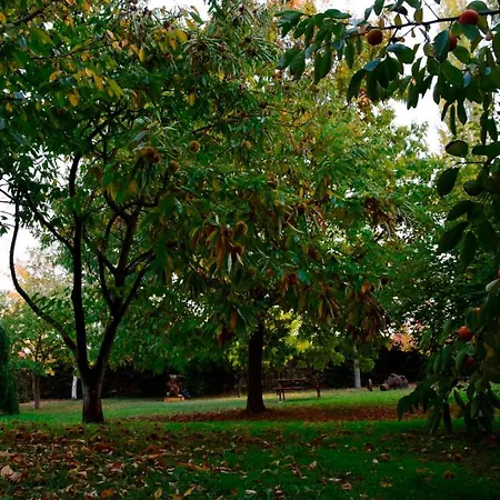 The Garden Vila *
