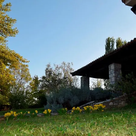The Garden