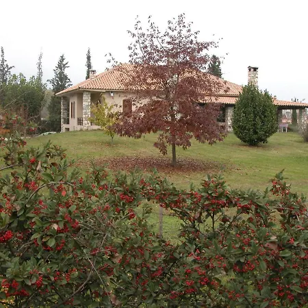 Vila The Garden *