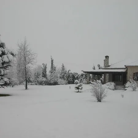 The Garden